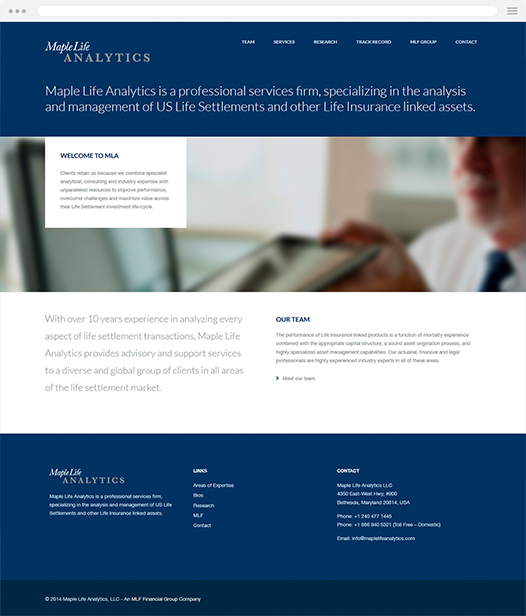 Financial Services Website Design old