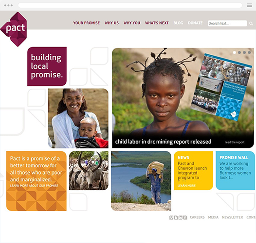 Nonprofit Website Redesign old