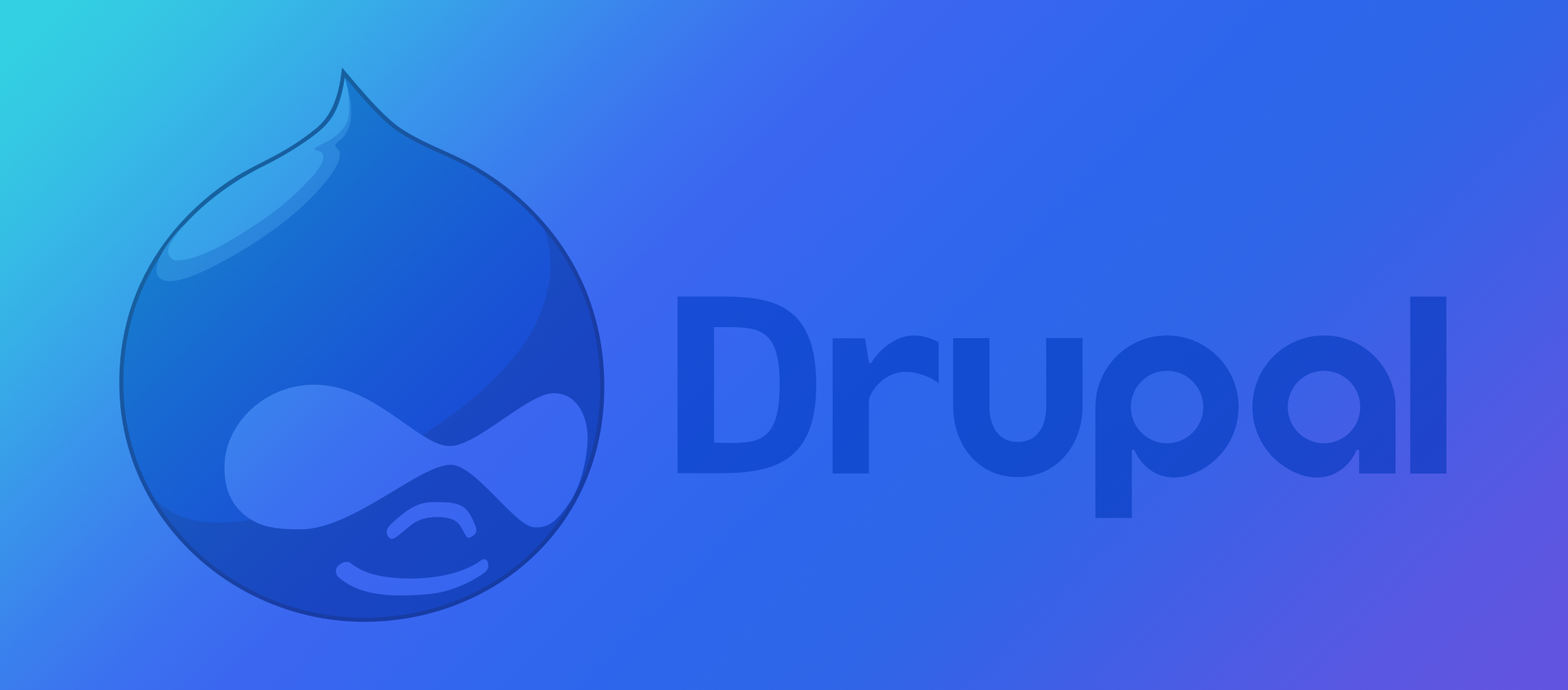 drupal hosting service